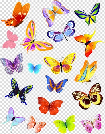 Butterfly , Modern colorful butterfly transparent background PNG clipart