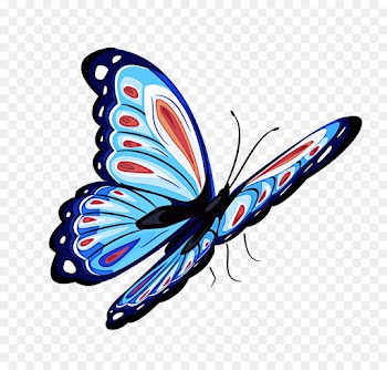 butterfly moths and butterflies insect wing pollinator