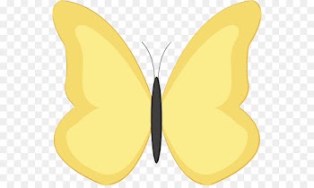 butterfly moths and butterflies insect yellow clip art