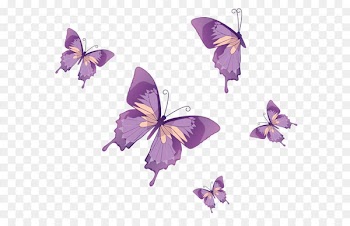 Butterfly Nymphalidae Clip art - Butterflies Vector PNG Clipart 