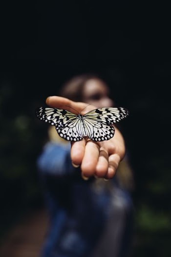 butterfly on person's right hand
