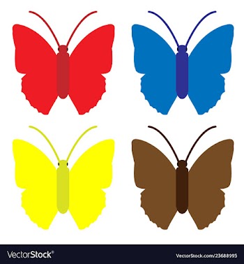 Butterfly packs vector image