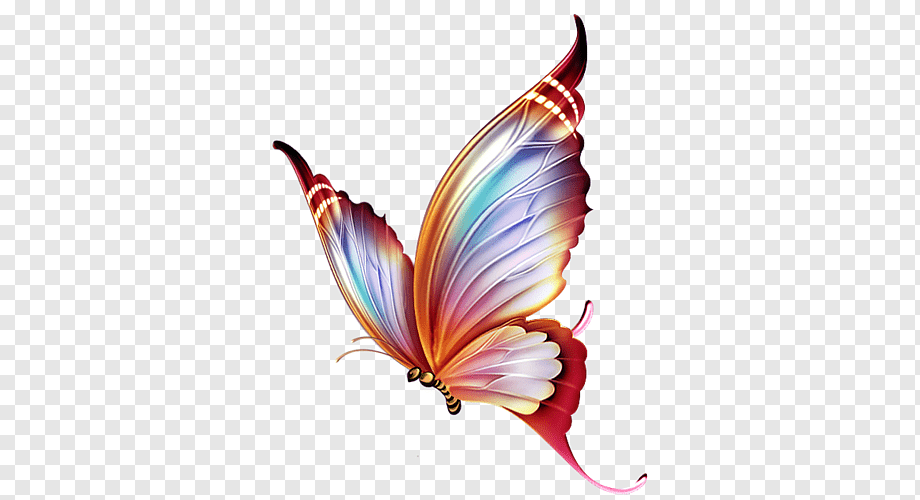 Butterfly Paper Drawing Pencil, butterfly, insects, color, colored Pencil png
