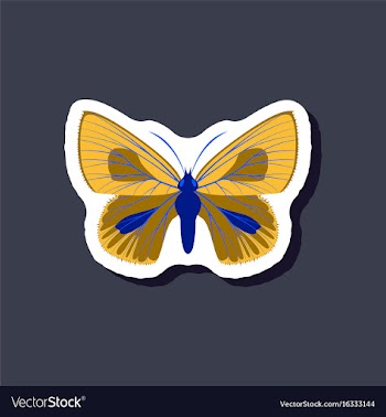 Butterfly paper sticker on stylish background vector image