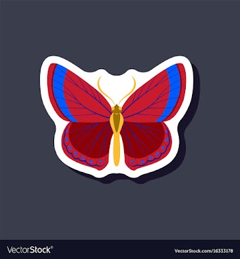 Butterfly paper sticker on stylish background vector image