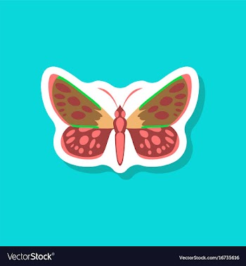 Butterfly paper sticker on stylish background vector image