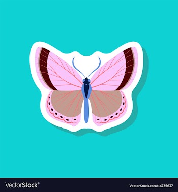Butterfly paper sticker on stylish background vector image