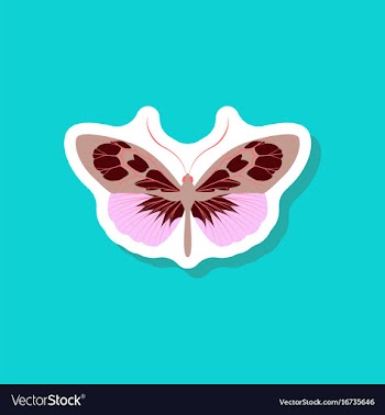 Butterfly paper sticker on stylish background vector image