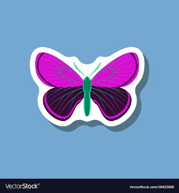 Butterfly paper sticker on stylish background vector image