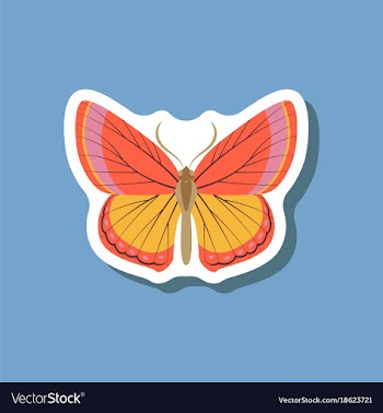 Butterfly paper sticker on stylish background vector image