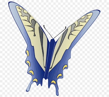 butterfly papilio machaon moths and butterflies insect wing