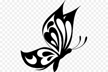 Butterfly Papilio ulysses Clip art - fly vector 