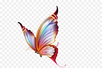 Butterfly Papillon dog Clip art - Colorful butterfly 