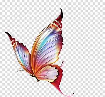 Butterfly Papillon dog , Colorful butterfly transparent background PNG clipart