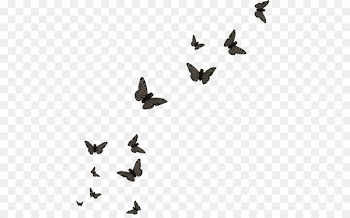 Butterfly Papillon dog Editing - Butterfly group 
