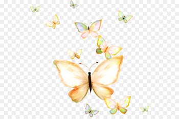 Butterfly Papillon dog Nymphalidae Clip art - Fresh group hand-painted butterfly 