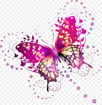 Butterfly Photography Illustration - Butterfly with purple lines 