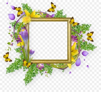Butterfly Picture Frames Clip art - easter frame 