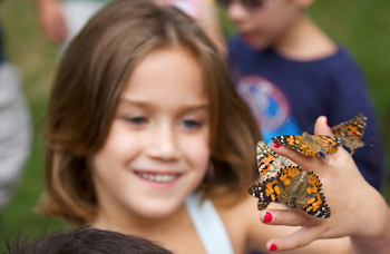 Butterfly Pictures Release Photo Album | Cloverlawn Butterflies