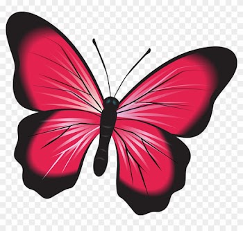 Butterfly Pink Clip Art Insect Nature Natural Bug - Fluturi Imagini