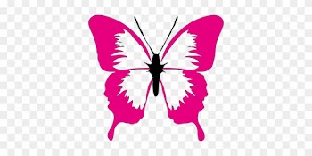Butterfly Pink Nature Summer Spring Insect - Pink Butterfly Clipart