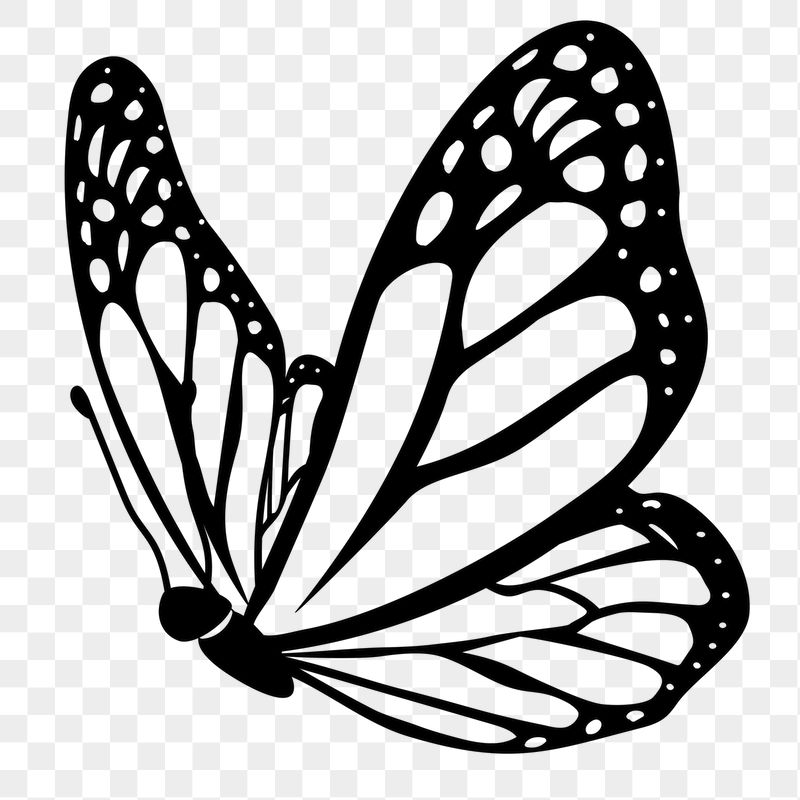 Butterfly png doodle sticker, black | Free PNG Illustration - rawpixel