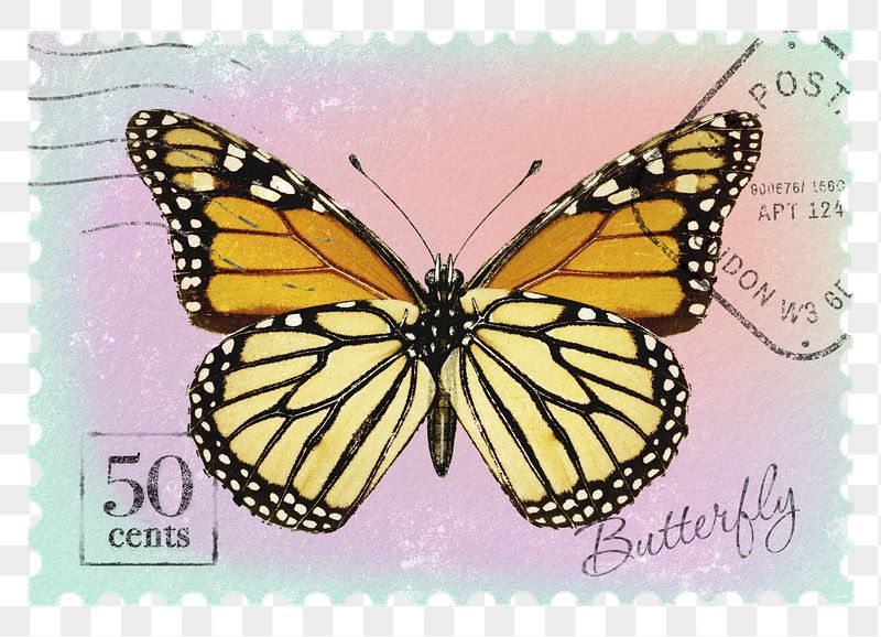 Butterfly png post stamp sticker, | Free PNG - rawpixel