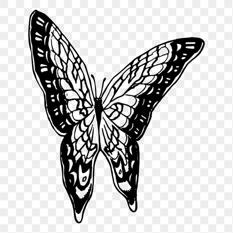 Butterfly png sticker illustration, transparent | Free PNG - rawpixel