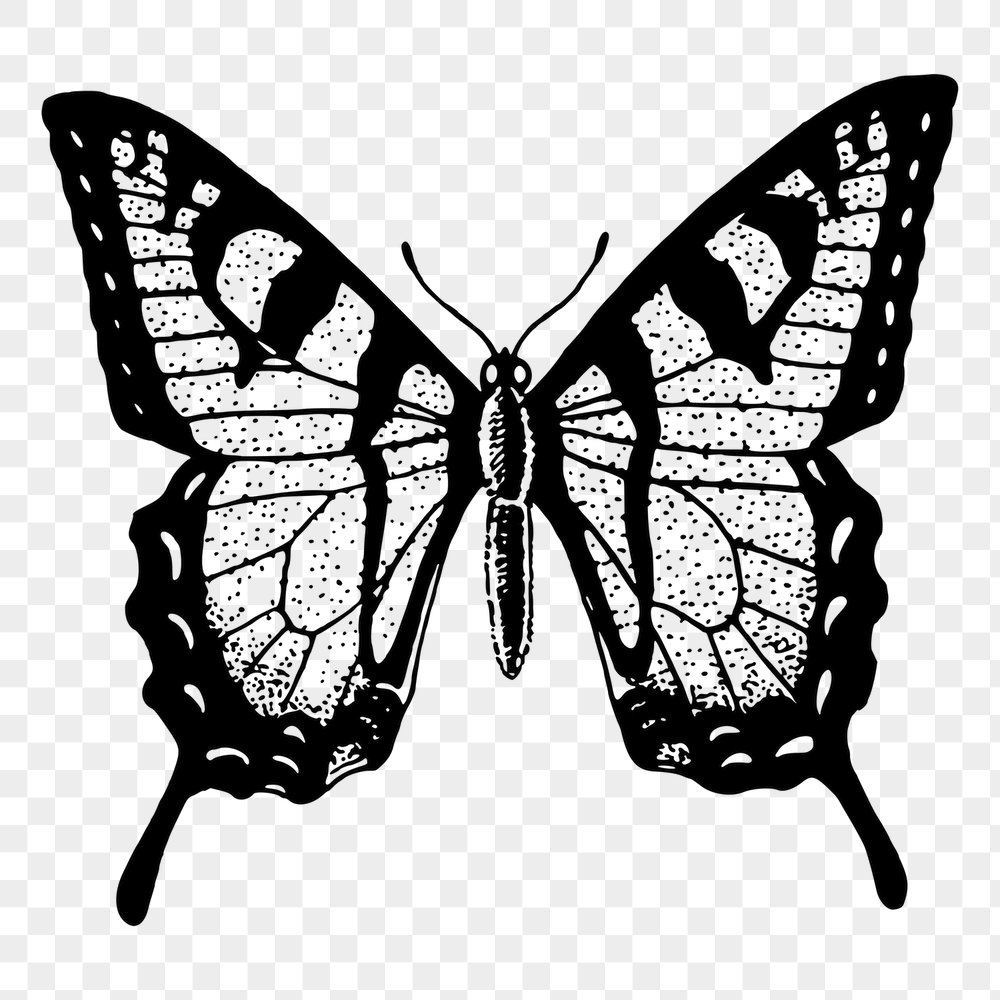 Butterfly png sticker, vintage insect | Free PNG - rawpixel