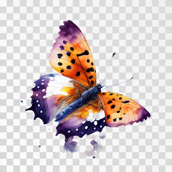 Butterfly PNG transparent, no background