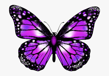 Butterfly Png Vector Image Transparent Background Purple - Small ...