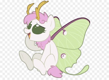 Butterfly Pony Moth Fluttershy Image - butterfly 