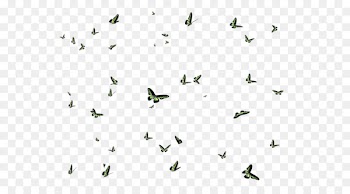 Butterfly Portable Network Graphics Image Insect Clip art - butterfly 