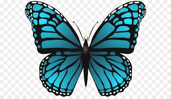 Butterfly Postage stamp Paper Clip art - Large Blue Butterfly PNG Clip Art Image 