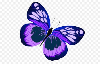 Butterfly Purple Clip art - Blue and Purple Butterfly PNG Clipart 