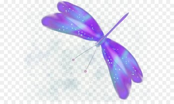 Butterfly Purple - Colorful butterfly 