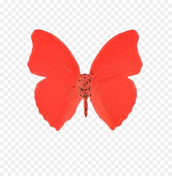 butterfly red insect moths and butterflies wing