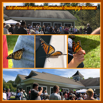 Butterfly Release |