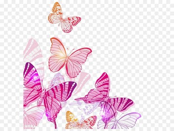 Butterfly Royalty-free Clip art - Pink Butterfly 