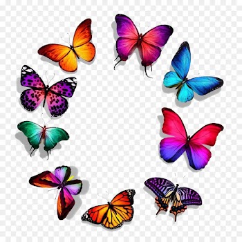 Butterfly Royalty-free Stock photography - Butterfly Series,-,Beautiful butterfly circle of 
