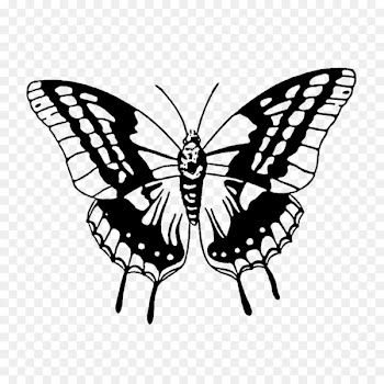 Butterfly Rubber stamp Postage Stamps Natural rubber Handicraft - rubber stamp 