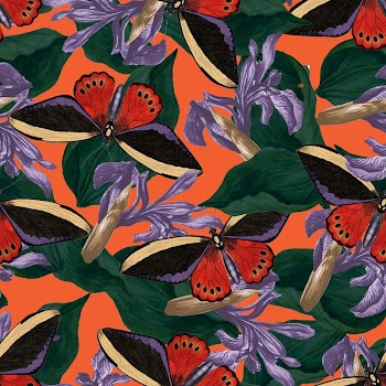 Butterfly seamless pattern background, exotic | Free Photo - rawpixel