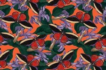 Butterfly seamless pattern background, exotic | Free Photo - rawpixel