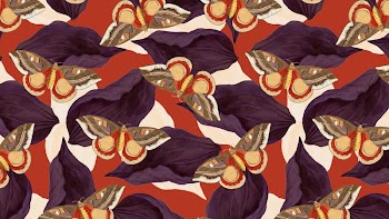 Butterfly seamless pattern computer wallpaper, | Free Photo - rawpixel