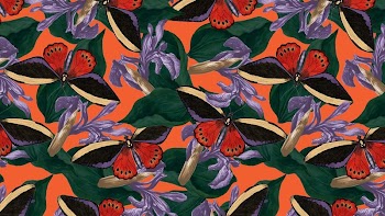 Butterfly seamless pattern computer wallpaper, | Free Photo - rawpixel