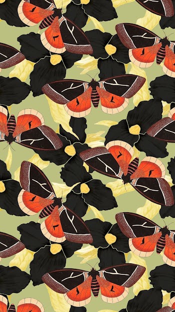 Butterfly seamless pattern iPhone wallpaper, | Free Photo - rawpixel