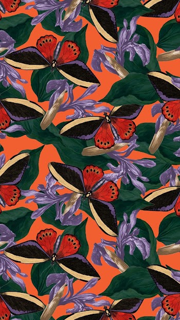 Butterfly seamless pattern mobile wallpaper, | Free Photo - rawpixel