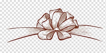 Butterfly Shoelace knot Ribbon Drawing, Bow transparent background PNG clipart