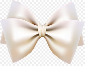 Butterfly Shoelace knot Ribbon White - Simple white bow tie 
