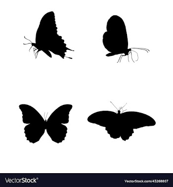 butterfly silhouette